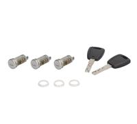 4x ✅Fits BLIC 5050-00-FI421703 Lock cylinder 5050-00-FI421703 Lock c ⭐UK Seller⭐