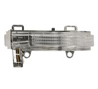 Fits BLIC 5402-01-1999105P Side mirror indicator lamp 5402-01-1999105 ⭐UK Stock⭐