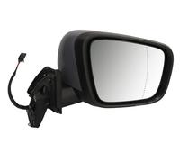 BLIC 5402-02-2435313P Wing mirror