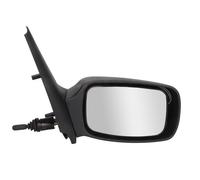 BLIC 5402-03-2002828P Wing mirror
