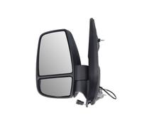BLIC 5402-03-2391310P Wing mirror