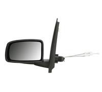 TYC 309-0042 Wing mirror