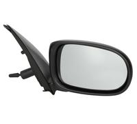 TYC 324-0019 Wing mirror