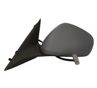 TYC 301-0030 Wing mirror