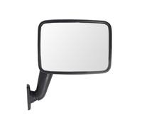 BLIC 5402-04-1192983 Wing mirror