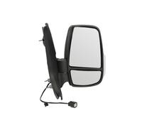 BLIC 5402-04-1291960P Wing mirror