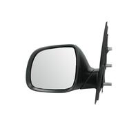 BLIC 5402-04-1623331P Wing mirror