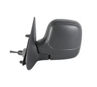 TYC 305-0006 Wing mirror