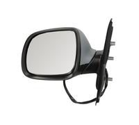 2x ✅Fits BLIC 5402-04-9239983P Side mirror electric Left Convex VW C ⭐UK Seller⭐
