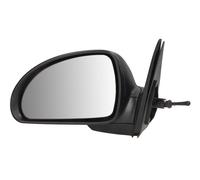 BLIC 5402-04-9927131P Wing mirror