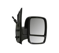 TYC 309-0103 Wing mirror