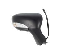 BLIC 5402-09-2002126P Wing mirror