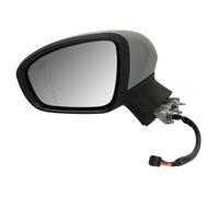 2x ✅Fits BLIC 5402-09-2313314P Side mirror electric Left Aspherical ⭐UK Seller⭐