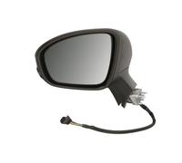 BLIC 5402-09-2313316P Wing mirror