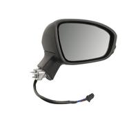 BLIC 5402-09-2313317P Wing mirror