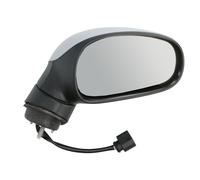 TYC 331-0055 Wing mirror