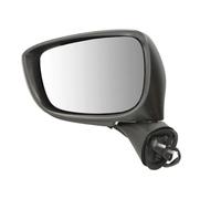 BLIC 5402-14-1905316P Wing mirror