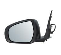 BLIC 5402-18-1384310P Wing mirror