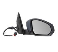 BLIC 5402-43-2557317P Wing mirror
