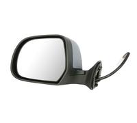 BLIC 5402-67-003365P Wing mirror