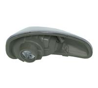 Turn signals BLIC 5403-04-053106C for NISSAN OPEL RENAULT