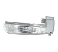 Fits BLIC 5403-21-0510106P Side mirror indicator lamp 5403-21-0510106P do DS DS