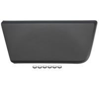 Fits BLIC 5703-04-2098572P Garnish strips for door In the front Right do CITROE