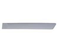 Decorative Trim Rear Left Fits: FORD FIESTA V 03.05-06.08