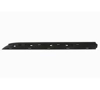 Fits BLIC 5703-04-6001573P Garnish strips for door Rear Left do RENAULT CLIO V