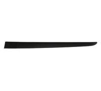 Decorative Trim Rear Left Door For: RENAULT CLIO III Ph I 5D 05.05-05.09