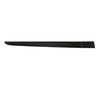 Decorative Trim Door Rear Right For: RENAULT CLIO III Ph I 5D 05.05-05.09