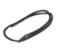 BLIC 5703-04-6037877Q Trim- / Protection Strip, windscreen