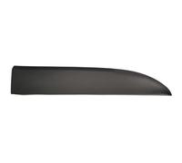 Fits BLIC 5703-04-6063586PP Garnish strips for door Front Right do FI ⭐UK Stock⭐