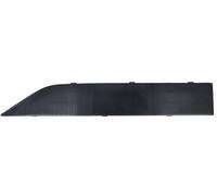 Fits BLIC 5703-04-7920578P Garnish strips for door In the front Right do BYD SE