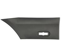 Door sill trim BLIC 5703-06-3547576P