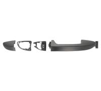 Blic Exterior Door Handle 6010-01-043402P for VW Passat B6 (3C2) 2005-2009 Right Front