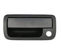 BLIC 6010-01-056417PP Door Handle