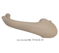 BLIC 6010-02-031409PP Door Handle