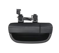 BLIC 6010-02-066417P Door Handle