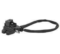 BLIC 6010-02-0826449P Tailgate lock