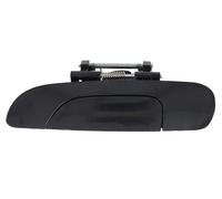 BLIC 6010-03-004403P Door Handle