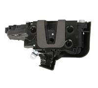 BLIC 6010-03-038434P Door lock