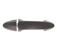 2x ✅Fits BLIC 6010-03-046402P Door handle external Front/Rear Left/R ⭐UK Seller⭐