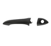 Exterior Door Handle BLIC 6010-05-014401P for BMW X5 (E53) 3 2001-2003