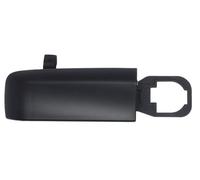 Exterior Door Handle BLIC 6010-07-034401P for FIAT IDEA (350_) 1.3 2008-2012