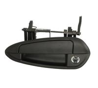BLIC 6010-07-036401PP Door Handle