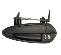 BLIC 6010-07-036401PPK Door Handle