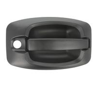 ✅Fits BLIC 6010-07-038401P Door handle external Front Left 6010-07-0 ⭐UK Seller⭐