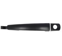 Fits BLIC 6010-07-039401P Door handle DE stock