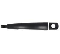 Fits BLIC 6010-07-039401P Door handle external Front Left 6010-07-039401P CITRO
